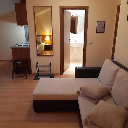 بوروفتس Studio Villa Park 410 المظهر الخارجي الصورة