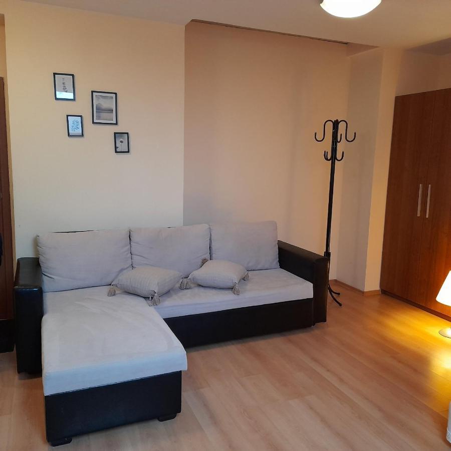 بوروفتس Studio Villa Park 410 المظهر الخارجي الصورة