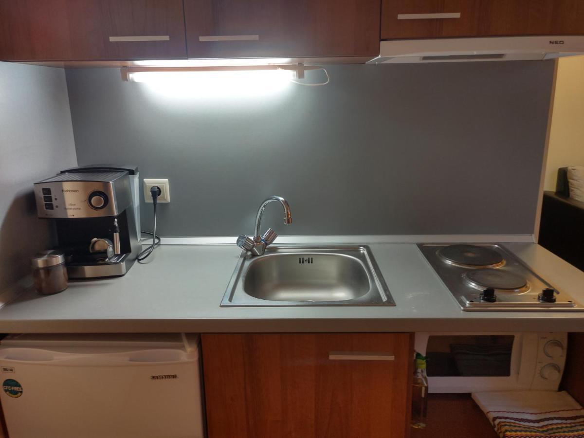 بوروفتس Studio Villa Park 410 المظهر الخارجي الصورة